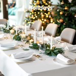 Topika 10pcs Rectangle Table Cloth Disposable White Tablecloth for party