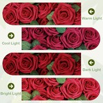Topika - 25-Piece Artificial Foam Roses with Stems, Red Fake Flower Bouquet