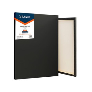 VSelect Stretched Cotton Canvas Boards for Painting Blank Painting Canvas