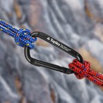 Topika Key Chain Clip Hook 10pcs Set Carabiner D-Ring Clips for Outdoor Use