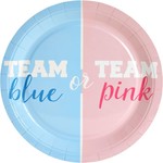 Baby Gender Reveal Party Plates Set for 24 Guests - 144 Piece