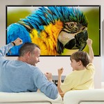 Topika - Peojector Screen 120 Inch, Projector Screen Portable, Foldable
