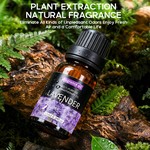 Topika - 20-Piece Plant Aromatherapy Fragrance Oils Gift Set, 10ml Bottles