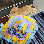 Topika Snuffle Mat for Dogs, 35x35cm Foraging Training Feeding Mats