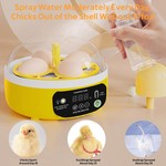 Topika 8-Egg Temperature Control Incubator with Clear Lid for Home Hatching