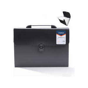 VSelect Accordion File Folder Organizer 13-Pocket Expanding Document Folder