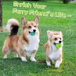 Interactive Dog Toy Ball, Puppy Dog Teething Toys & Food Treat Balls