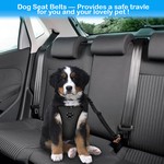 Topika 2 x Retractable Dog Car Seat Belts with Dog Bowl, Shock Absorbing