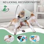 Topika Recovery Collar for Dogs After Surgery Stop Licking, Dog Cone Collar