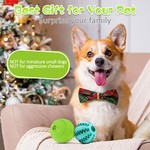 Interactive Dog Toy Ball, Puppy Dog Teething Toys & Food Treat Balls