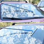 Topika-Window Squeegee Cleaner Kit with 146cm Extendable Handle