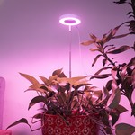 Topika - Plant Grow Light Grow Lights For Indoor Plants Full Spectrum