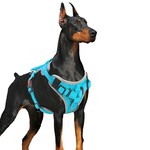 Topika No-Pull Dog Harness for Big Dog, Reflective, Breathable Mesh