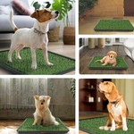 Topika Dog Grass Pad with Tray, Training Pee Mat, 20x25"51x64 CM