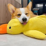 TopikaPet -Durable Yellow Duck Dog Toy for Aggressive Chewers with Squeaker