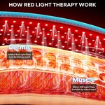 Topika Red Light Therapy Belt with Infrared Heat, 5 Levels, 105 Light Chips