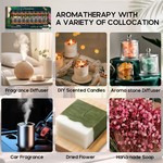 Topika - 20-Piece Plant Aromatherapy Fragrance Oils Gift Set, 10ml Bottles