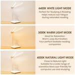 Topika - LED Desk Lamp, Rechargeable Dimmable Study Light With Phone Holder