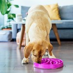 Topika Pets Slow Feeder Dog Bowl, Anti-Choke Design, Dog Slow Feeder