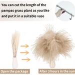 Topika Dried Pampas Grass Decor 100pcs Artificial Flowers for Home, Wedding
