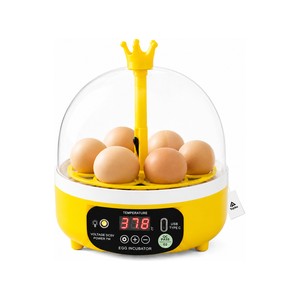 Topika 8-Egg Temperature Control Incubator with Clear Lid for Home Hatching
