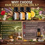 Topika - Essential Oils Set, 12 Piece Water-Soluble Fragrance Oils, 10ml