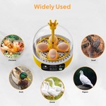 Topika 8-Egg Temperature Control Incubator with Clear Lid for Home Hatching