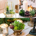 Topika - Fake Plants 16 Piece Artificial Succulent Set, Fake Plants room decor