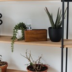 Topika Walnut Wooden Remote Control Holder, Wall-Mounted Or Desktop Storage
