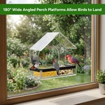 Topika Window Bird Feeder with 5 Strong Suction Cups, Clear Acrylic