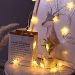 4M Star String Light LED Christmas/Valentine/ Wedding Curtain Lights