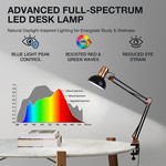 Topika LED Clamp Desk Lamp, Long Arm Foldable Metal Table Lamp For Reading