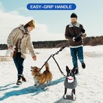 Double Dog Leash, Shock Absorbing Bungee & Reflective Thread