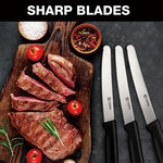 Topika Steak Knives Set With Serrated Blades And Ergonomic Handles, 6 Pcs