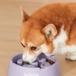Topika Slow Feeder Bowl for Dogs, Slow Feeding, Slow Feeder Bowl for Dogs