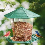 Bird Feeders Outdoor Hanging Feeder
