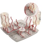 TopikaKids - Baby Bottle Drying Rack, Detachable Design, Space Saving