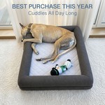 Topika Waterproof Orthopedic Pet Sofa Bed with Removable Cover for Big Dogs