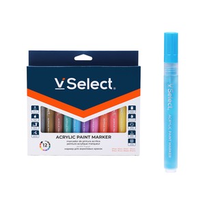 VSelect - Acrylic Paint Markers, 12 Colours, Dual Tip, Fine and Dot Tips