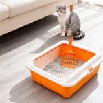 Topika Cat Litter Box with Scoop, Top Open, Easy Clean| Orange