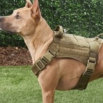 TopikaPet - Tactical Dog Vest Set,Puppy Tactical Chest Harness for Training
