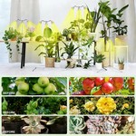Topika - Grow Lights For Plants Full Spectrum Aluminum Tripod Plant Light
