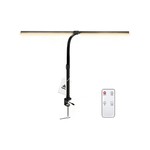 Topika Dual-Head LED Desk Lamp Eye-Care Clamp Light with Flexible Gooseneck
