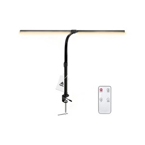 Topika Dual-Head LED Desk Lamp Eye-Care Clamp Light with Flexible Gooseneck