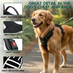 Topika No Pull Dog Harness with Leash, Adjustable Dog Vest