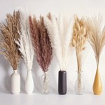 Topika Dried Pampas Grass Decor 100pcs Artificial Flowers for Home, Wedding