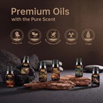 Topika - Men's Fragrance Oil Set, 6 Piece Aromatherapy Oils, 10ml Each