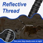 Double Dog Leash, Shock Absorbing Bungee & Reflective Thread