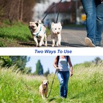 Double Dog Leash, Shock Absorbing Bungee & Reflective Thread