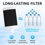 TopikaHome - Stainless Steel Faucet Water Sink Filter with 2 Pieces Cartridges